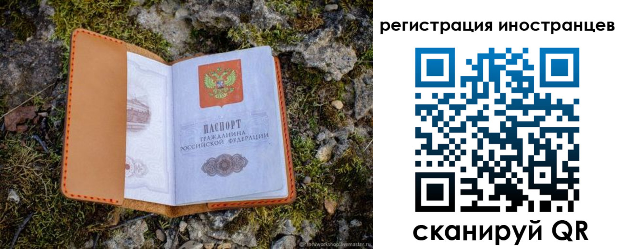 прописка паспорт в Электростали